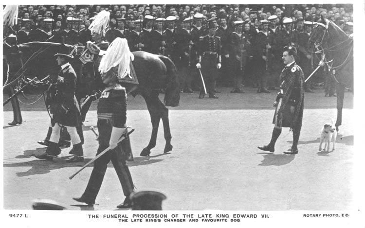 File:Edward VII Funeral Charger and Caesar.jpg