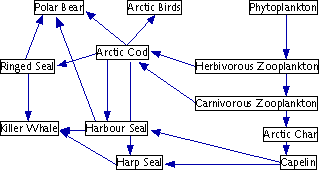 File:Foodweb.png