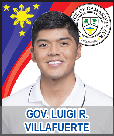 File:Gov Villafuerte.png