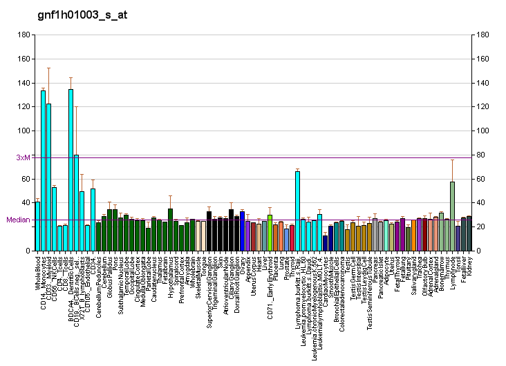 File:PBB GE TNFRSF19L gnf1h01003 s at fs.png