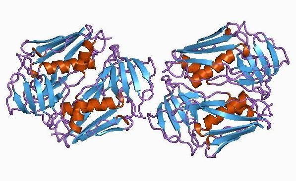 File:PDB 1aw7 EBI.jpg