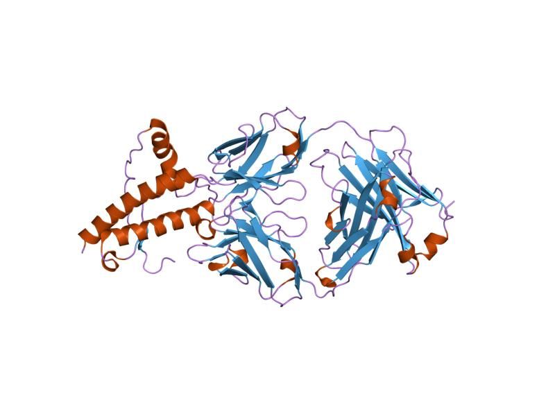 File:PDB 1tqc EBI.jpg