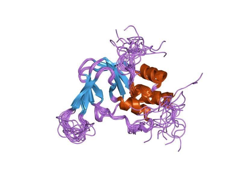 File:PDB 1wgp EBI.jpg