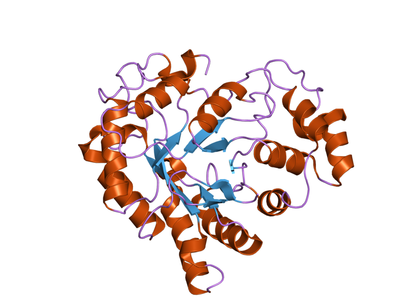 File:PDB 1xgd EBI.png