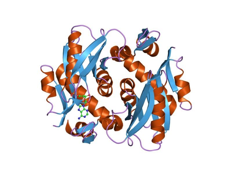 File:PDB 1zn9 EBI.jpg