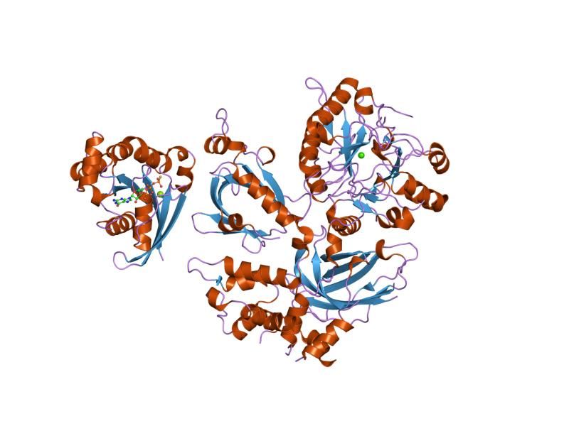 File:PDB 2fju EBI.jpg