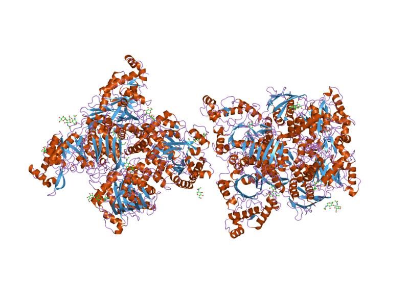 File:PDB 2gjx EBI.jpg