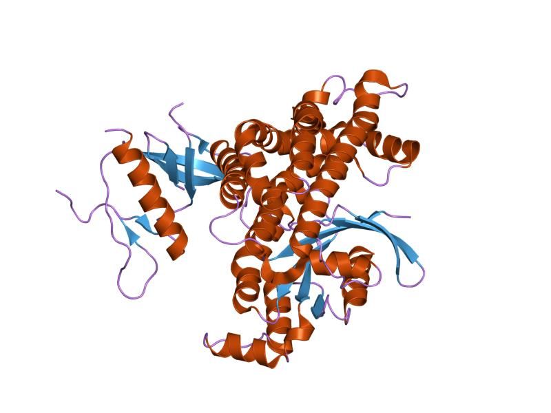 File:PDB 2nz8 EBI.jpg