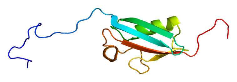 File:Protein SUMO1 PDB 1a5r.png