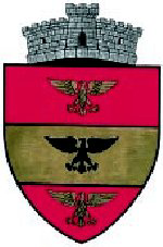 File:ROU SV Vulturesti CoA.png