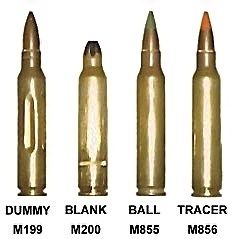 File:5.56mm-military-rounds.jpg