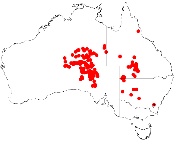 File:Acacia calcicolaDistMap154.png