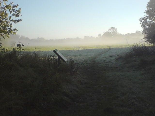 File:Draycote Meadows - geograph.org.uk - 593184.jpg