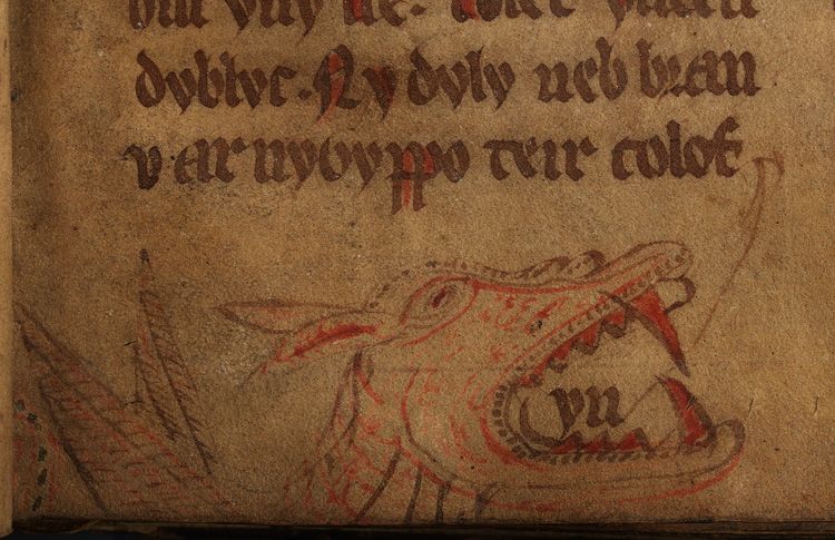 File:F. 65r. Dragon.jpg