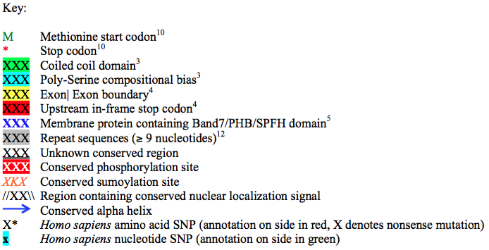 File:FAM76A conceptual translation key.png