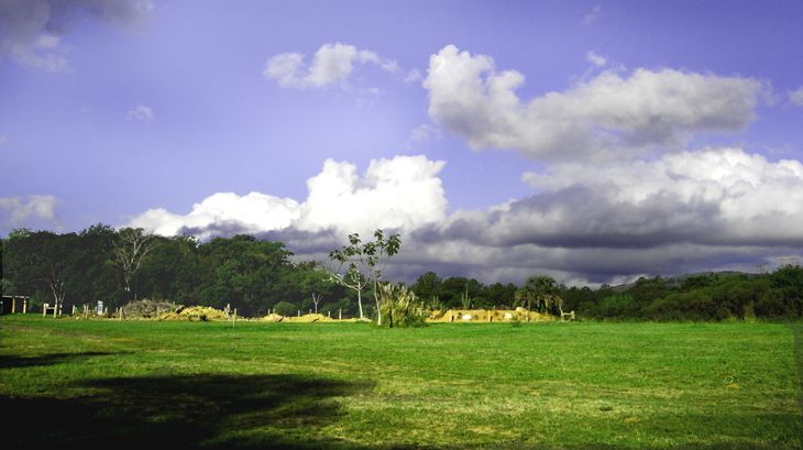 File:Jardim botanico poa3.jpg