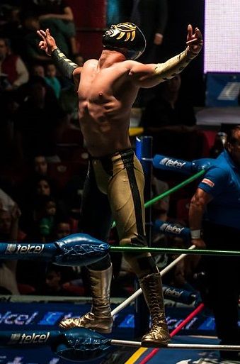 File:Oro Junior Lucha Libre.jpg