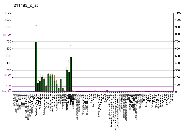 File:PBB GE CAMK2B 211483 x at fs.png