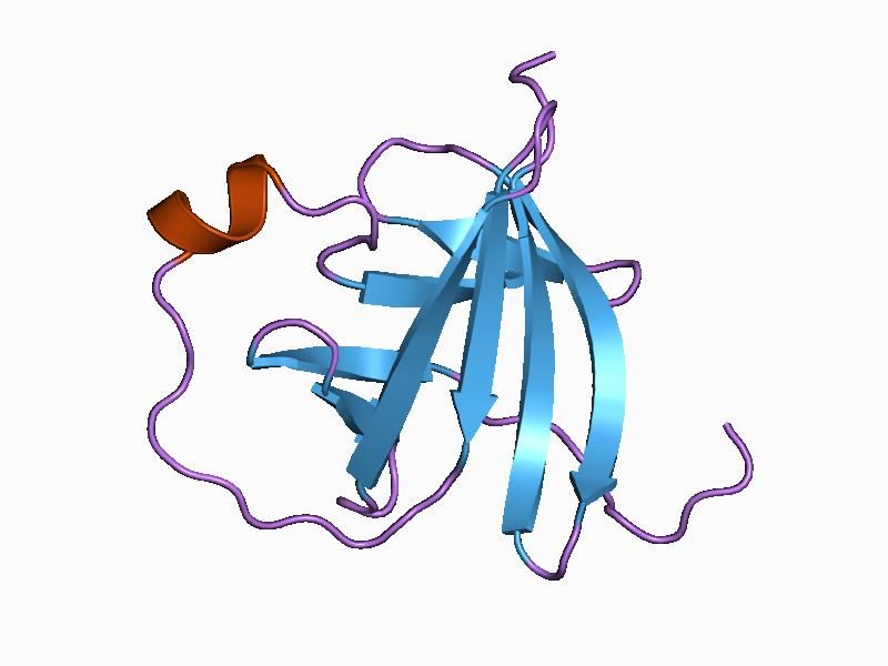 File:PDB 1a1x EBI.jpg