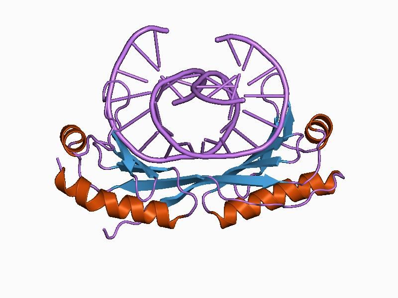 File:PDB 1cdw EBI.jpg