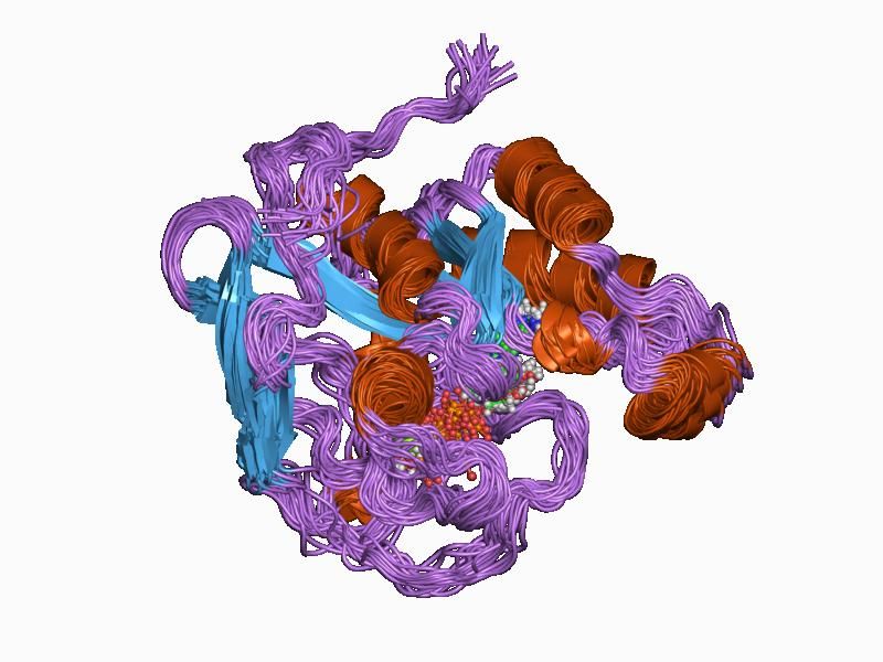 File:PDB 1cf4 EBI.jpg