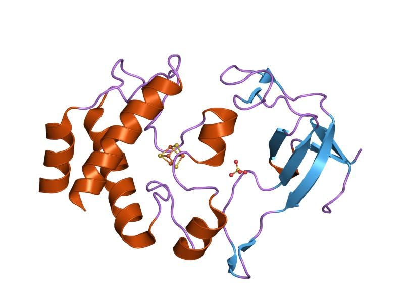 File:PDB 1dj7 EBI.jpg