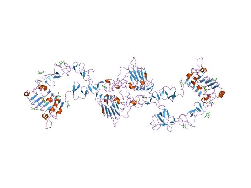 File:PDB 1m6b EBI.jpg