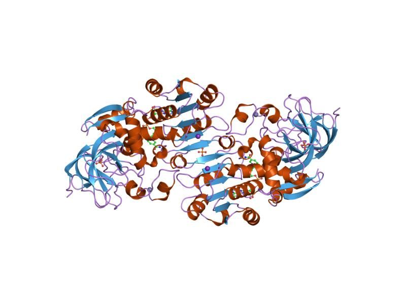 File:PDB 1mp0 EBI.jpg