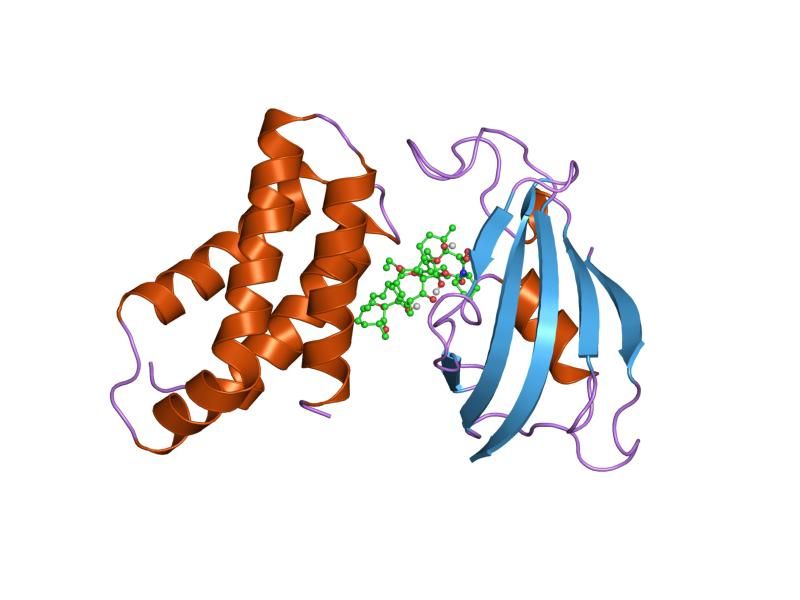 File:PDB 1nsg EBI.jpg