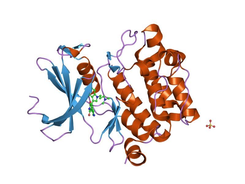 File:PDB 1xws EBI.jpg