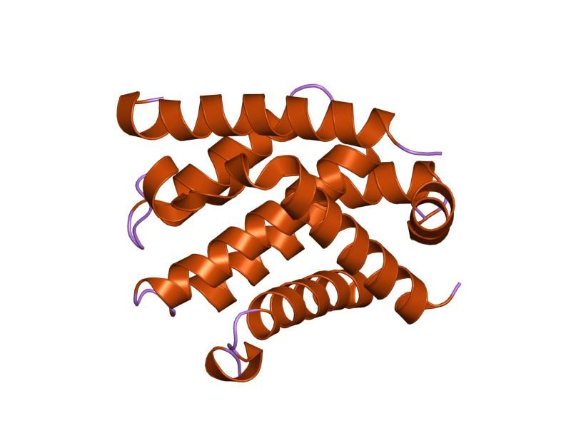 File:PDB 2bzw EBI.jpg