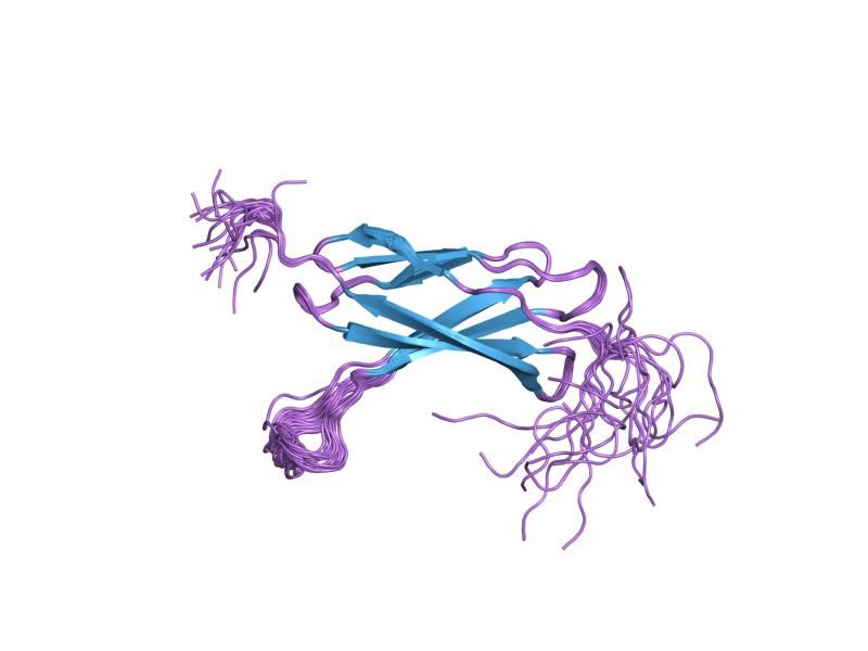 File:PDB 2cui EBI.jpg