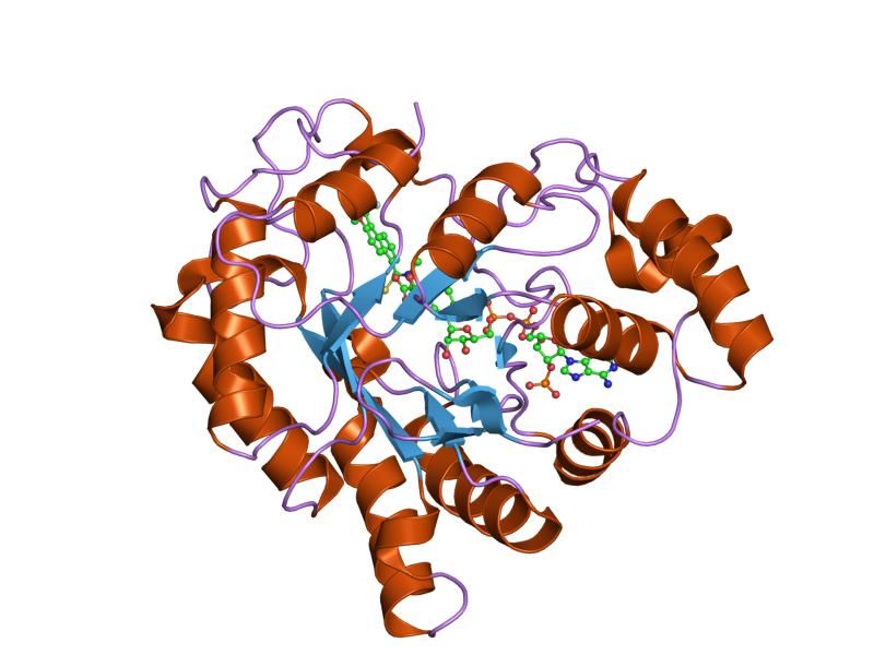 File:PDB 2fzd EBI.jpg