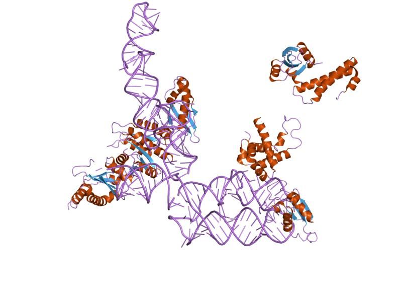 File:PDB 2go5 EBI.jpg