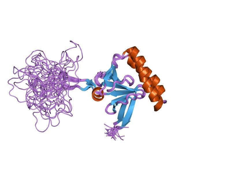 File:PDB 2hr9 EBI.jpg