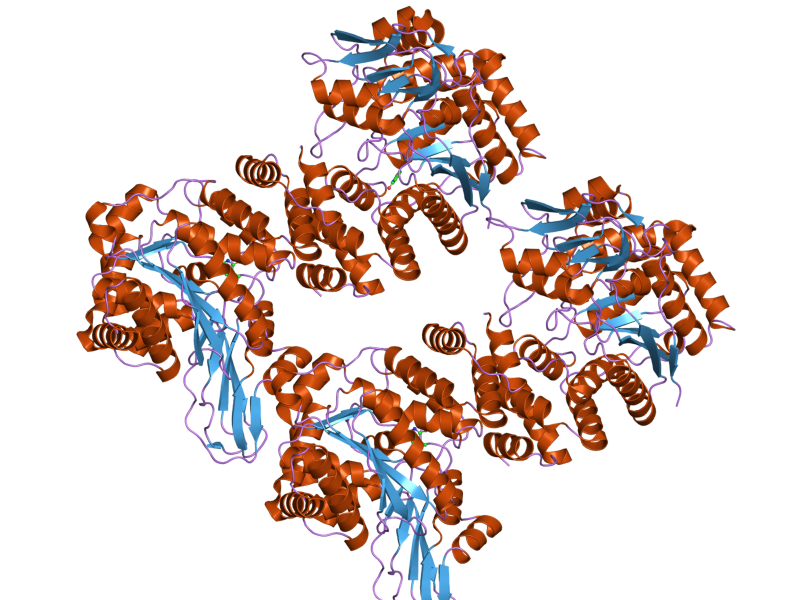 File:PDB 2j0f EBI.png