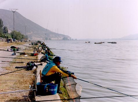 File:Pesca.jpg