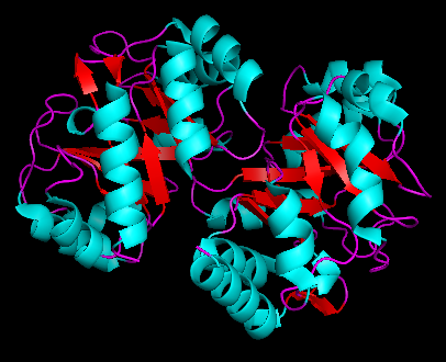 File:Phosphoribosylanthranilate isomerase Structure.png