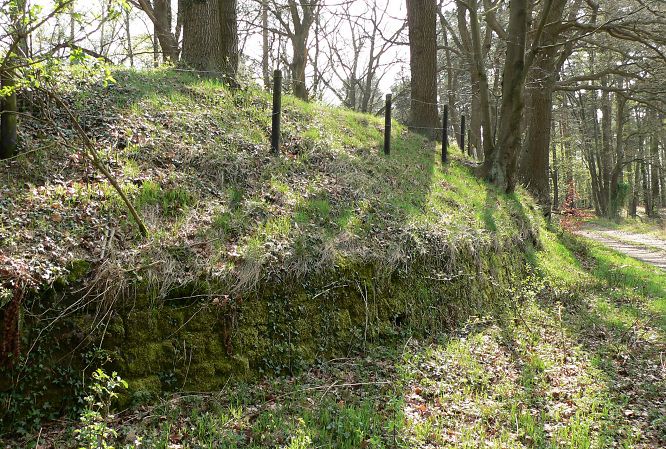 File:Ringwall von Burg Mauer.jpg