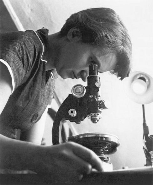 File:Rosalind Franklin (retouched).jpg