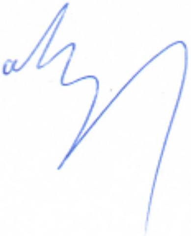 File:Tornike Rizhvadze signature.jpg