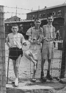 File:Buchenwald Children 13060.jpg