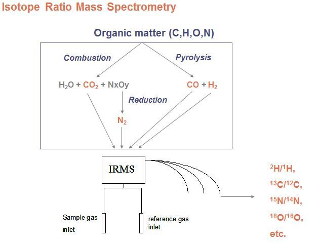 File:Figure 6 - Principle of the IRMS.jpg