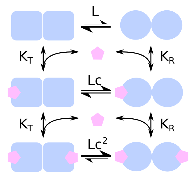 File:MWC structure.png