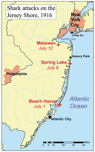 File:Njsharkattackmap.png