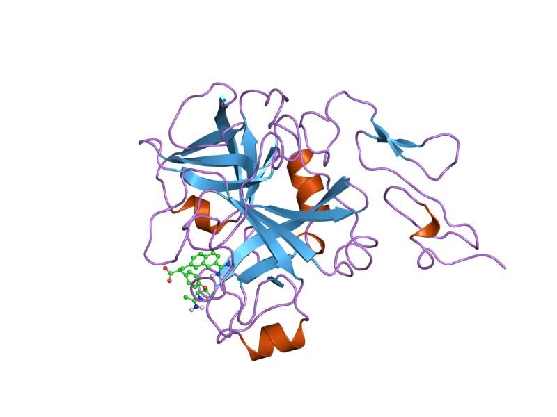 File:PDB 1fax EBI.jpg