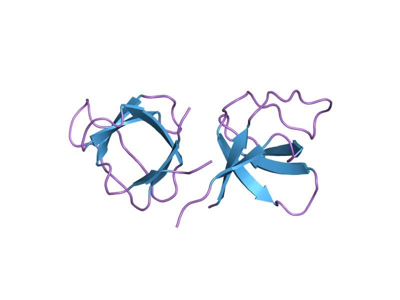 File:PDB 1i0c EBI.jpg