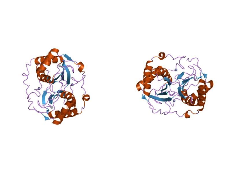 File:PDB 1joe EBI.jpg