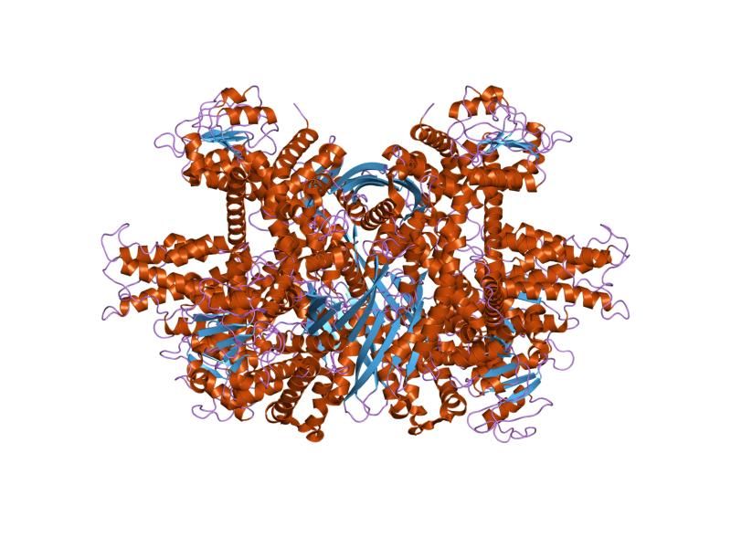 File:PDB 1l1f EBI.jpg