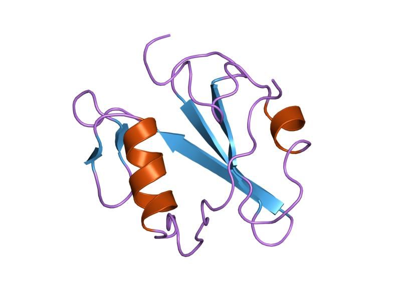 File:PDB 1mil EBI.jpg